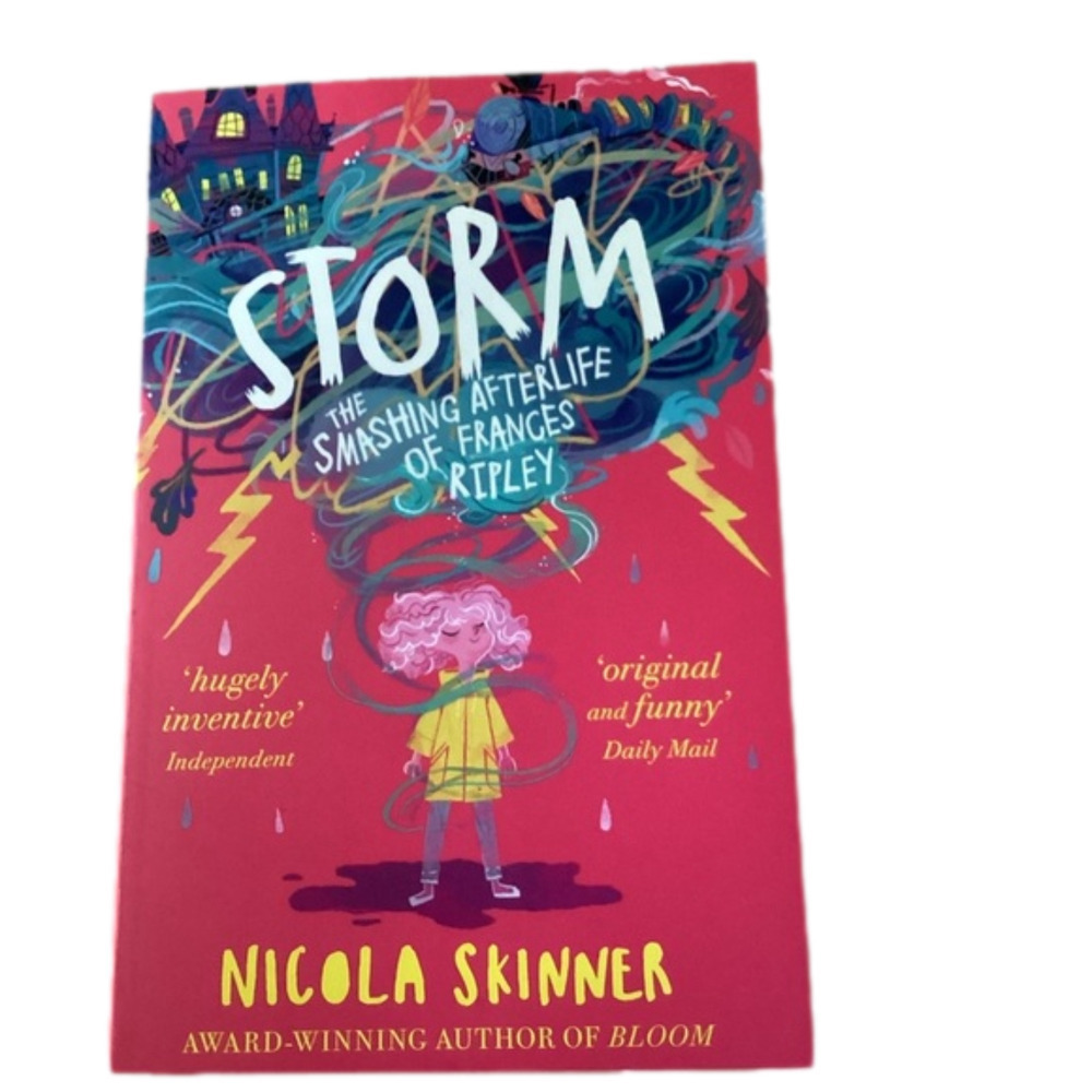 Book - Storm The Smashing Afterlife of Frances Ripley by Nicola  Skinner